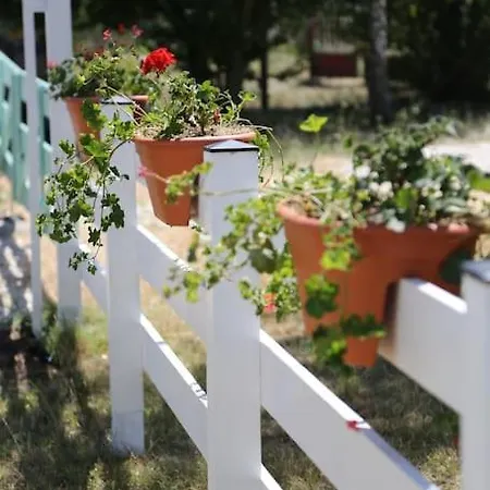 Csoepphaz Holiday home Balatonkenese