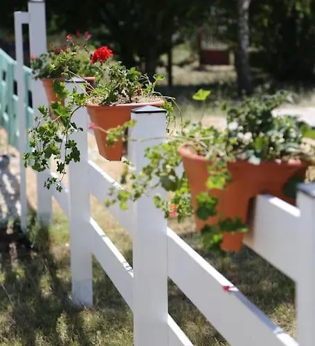 Csoepphaz Tatil Evi Balatonkenese